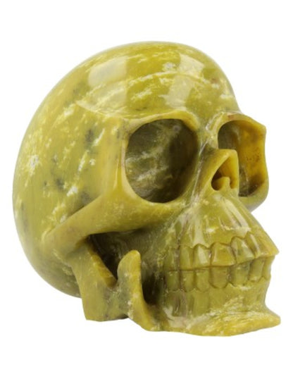 Image for nefriet-schedel.jpg