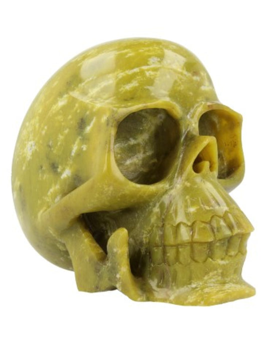 Image for nefriet-schedel.jpg