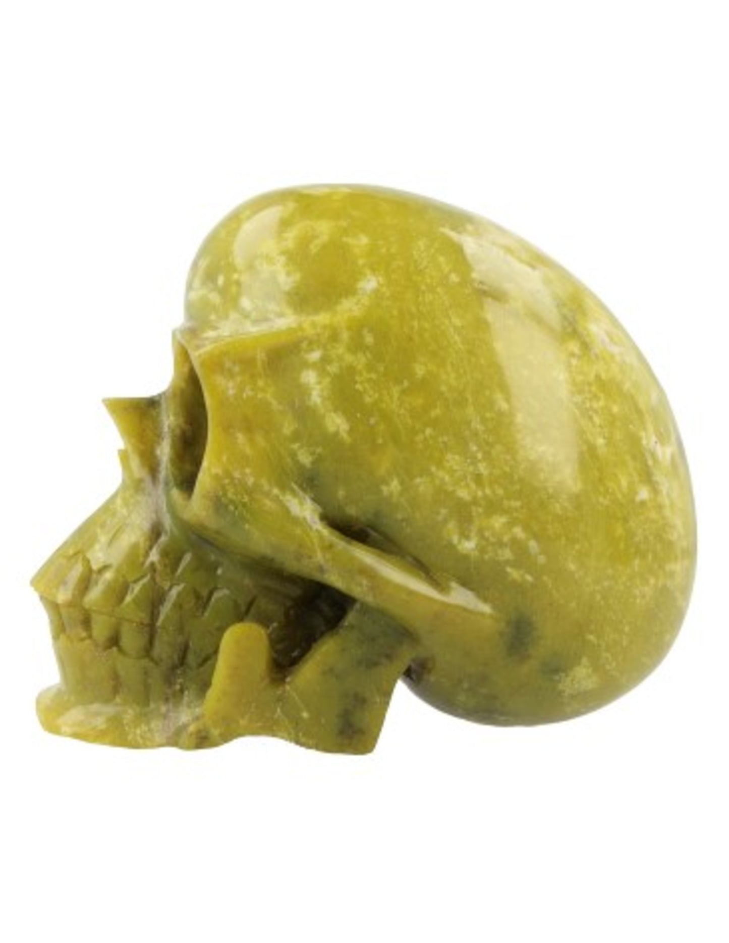 Image for nefriet-schedel_2.jpg