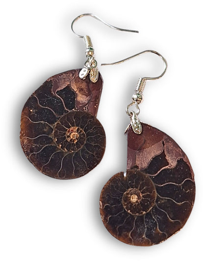 Image for oorbellen-ammoniet.jpg