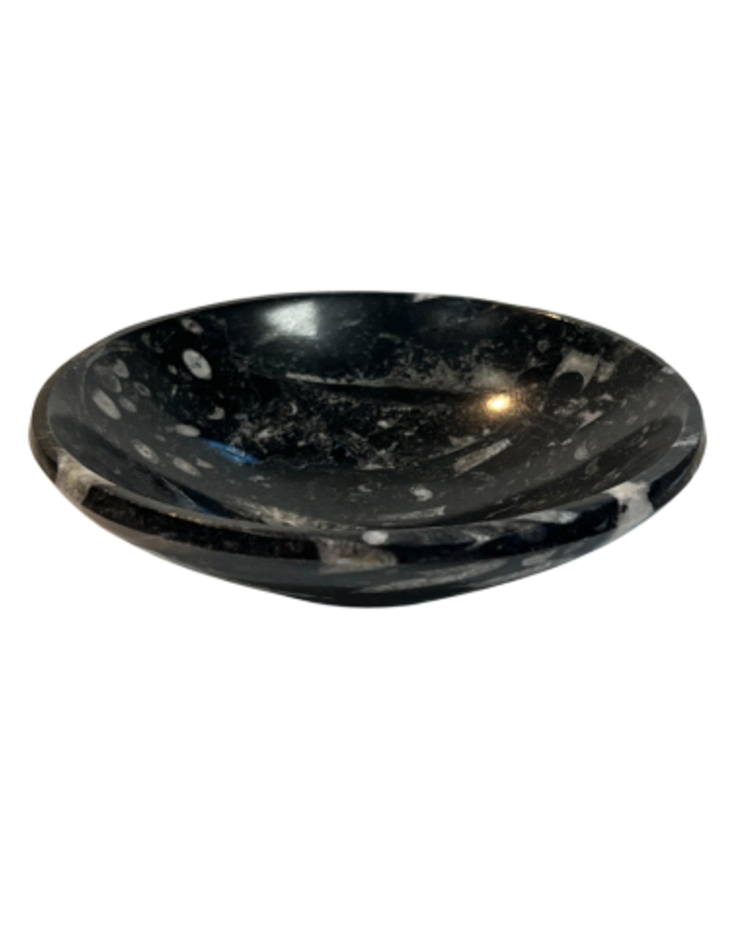 Image for orthoceras-schaal.jpg