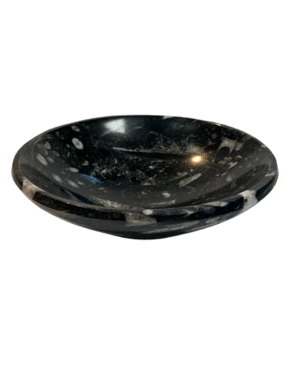Image for orthoceras-schaal.jpg
