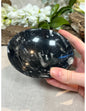 Image for orthoceras-schaal_1.jpg