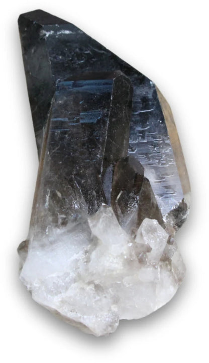 Image for rookkwarts-ab-ruwe-cluster-nr12.jpg
