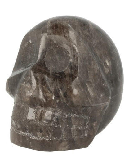 Image for rookkwarts-schedel-nr31.jpg