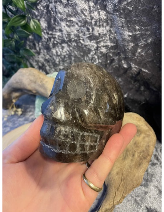 Image for rookkwarts-schedel-nr31_3.jpg