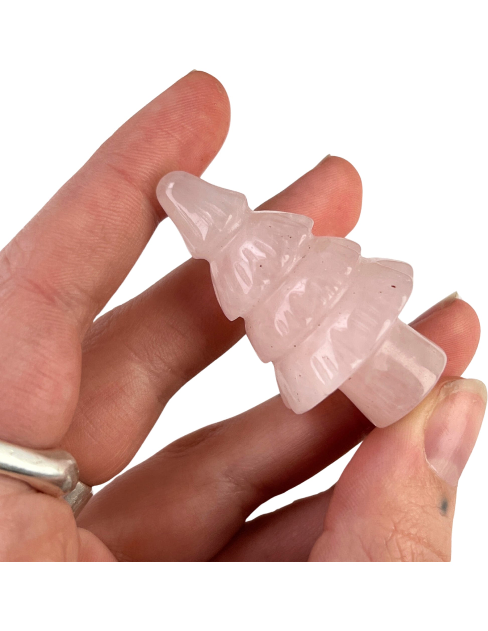 Image for roze-kwarts-kerstboom-50-mm_2.jpg