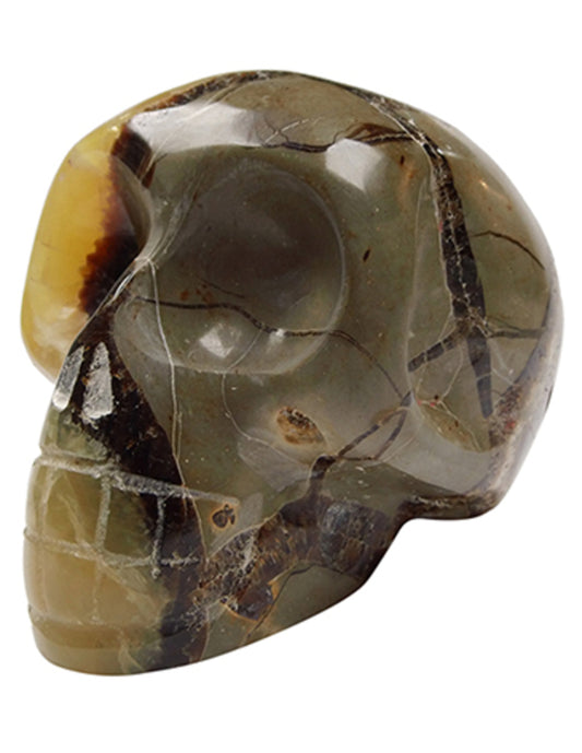 Image for schedel-septarie-9-cm.jpg