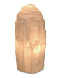 Image for seleniet-lamp-groot-30-cm-incl-elektra_2.jpg