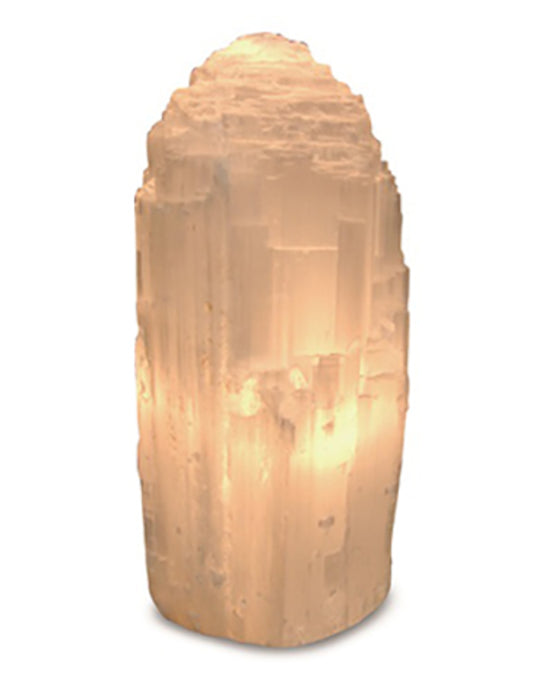 Image for seleniet-lamp-xl-40-cm-incl-elektra.jpg