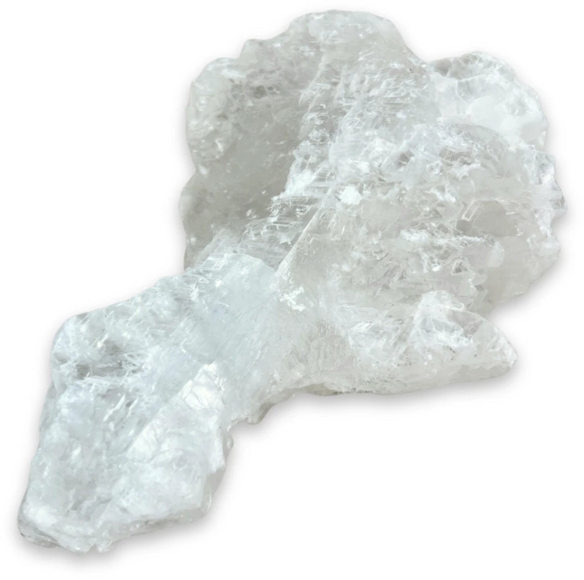 Image for seleniet-vissenstaart-ruw-nr04.jpg