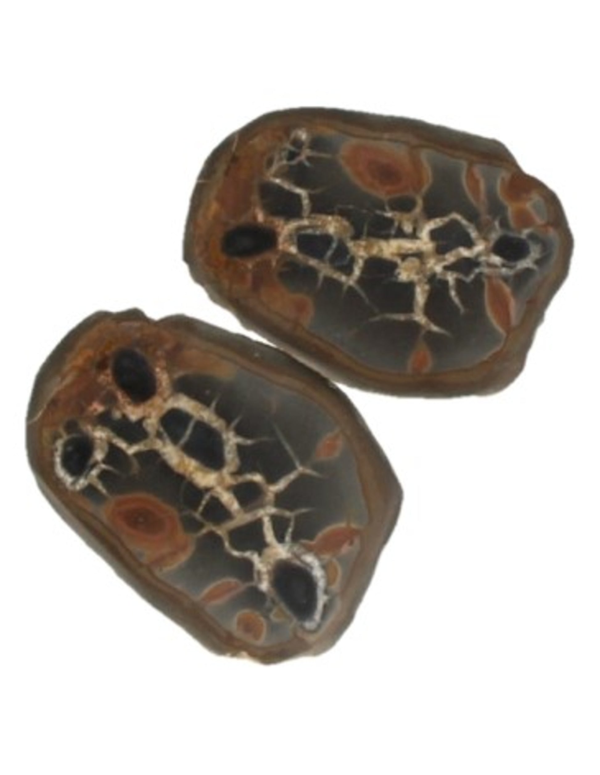 Image for septarie-thunderstone-paar-3-5-cm.jpg