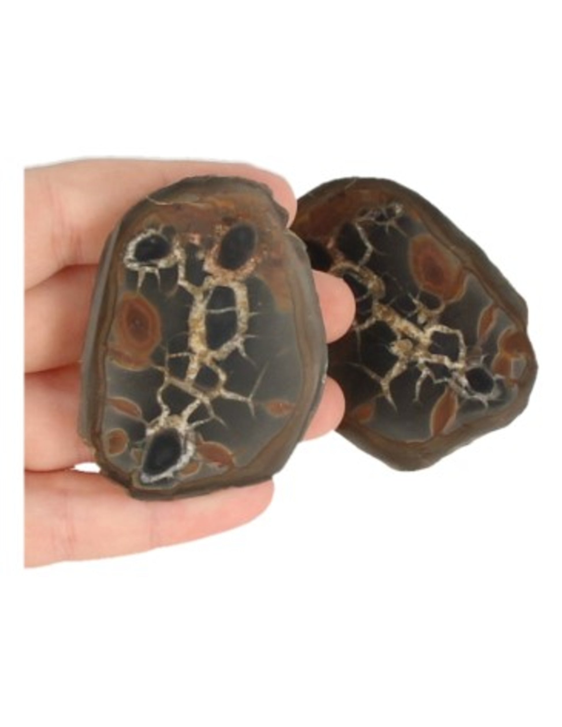 Image for septarie-thunderstone-paar-3-5-cm_4.jpg