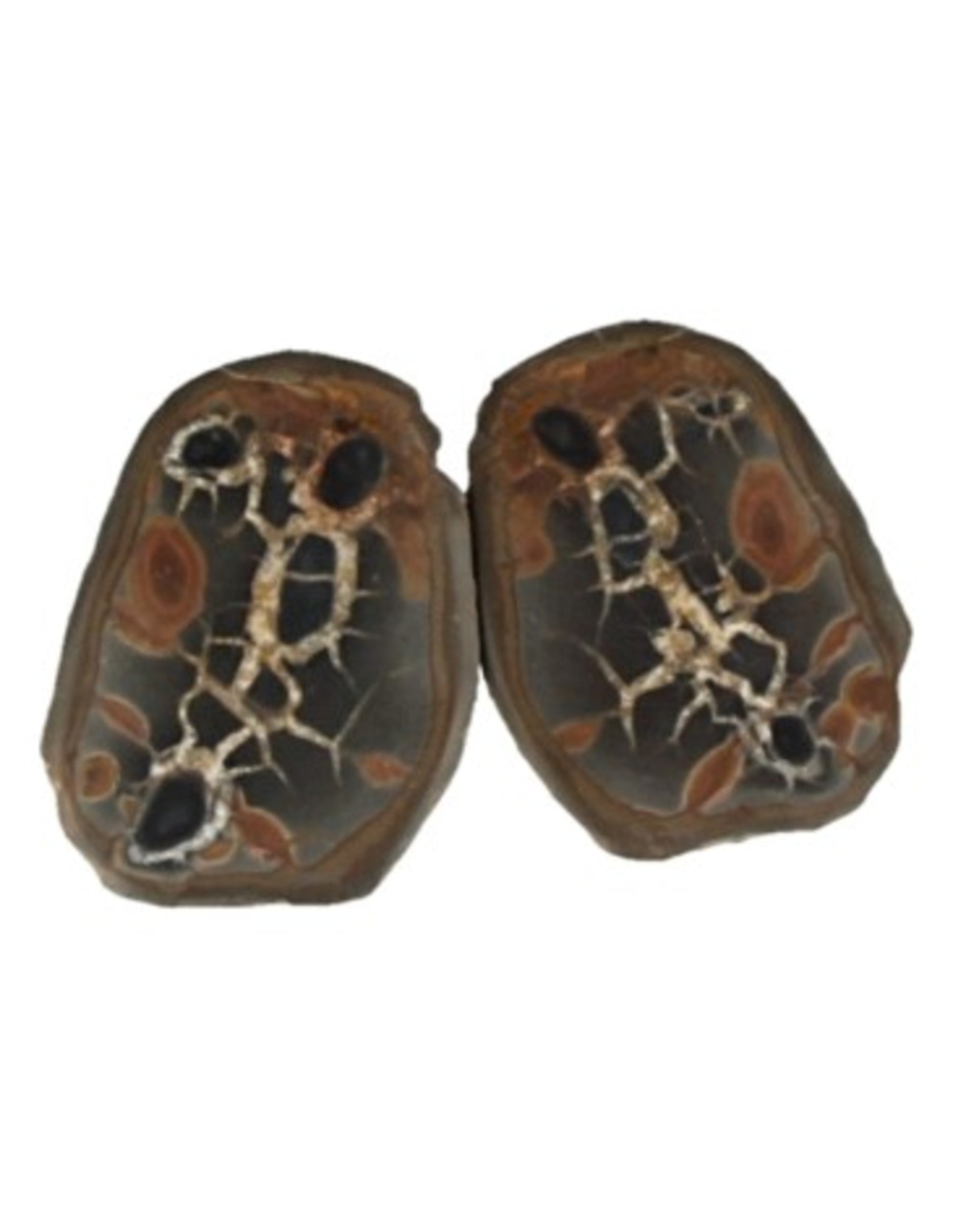 Image for septarie-thunderstone-paar-3-5-cm_2.jpg
