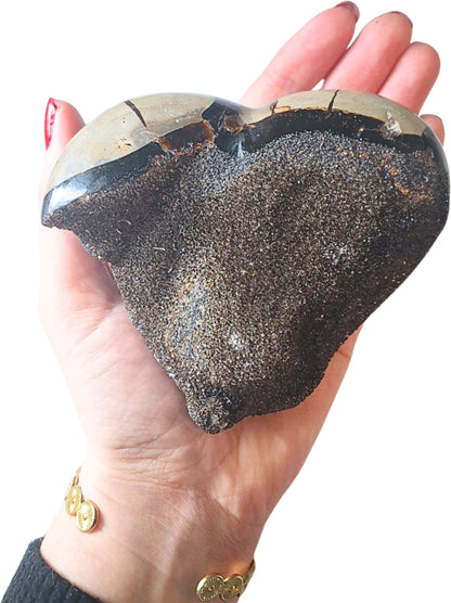 Image for septarie-wild-hart-nr06_2.jpg