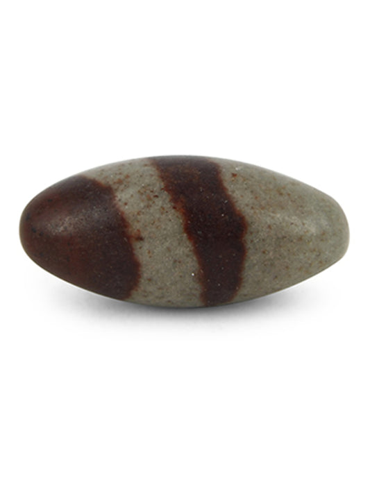 Image for shiva-lingham-klein.jpg