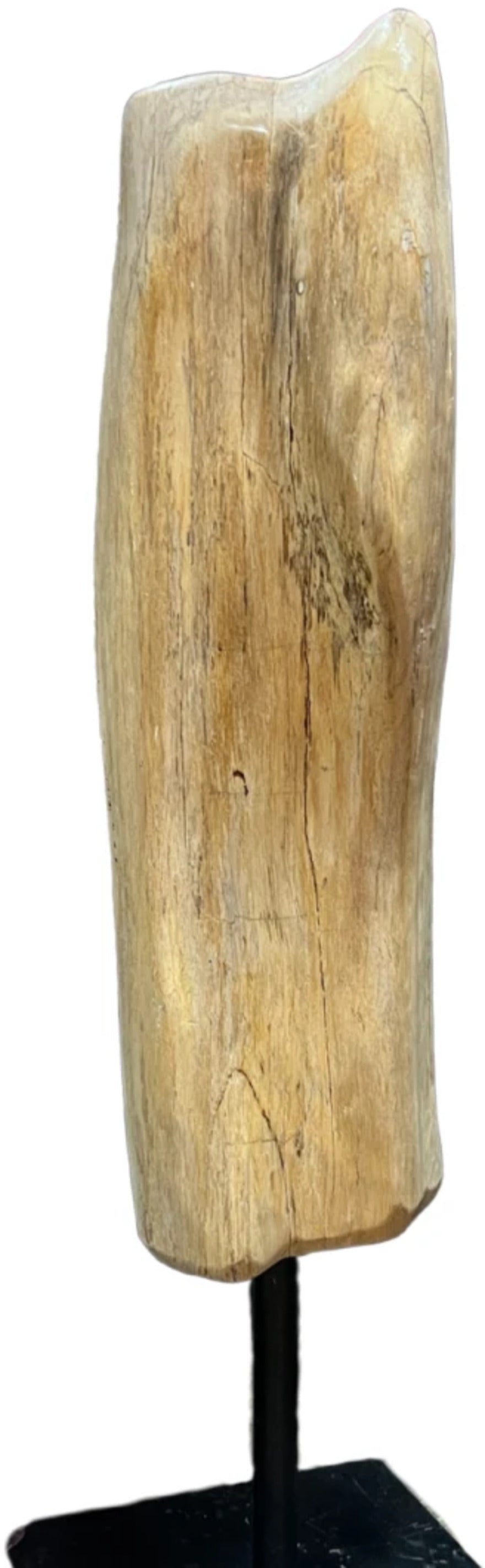 Image for versteend-hout-sculptuur-op-voet-nr5303_2.jpg