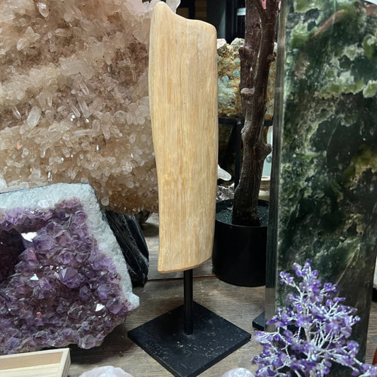 Image for versteend-hout-sculptuur-op-voet-nr5303_3.jpg