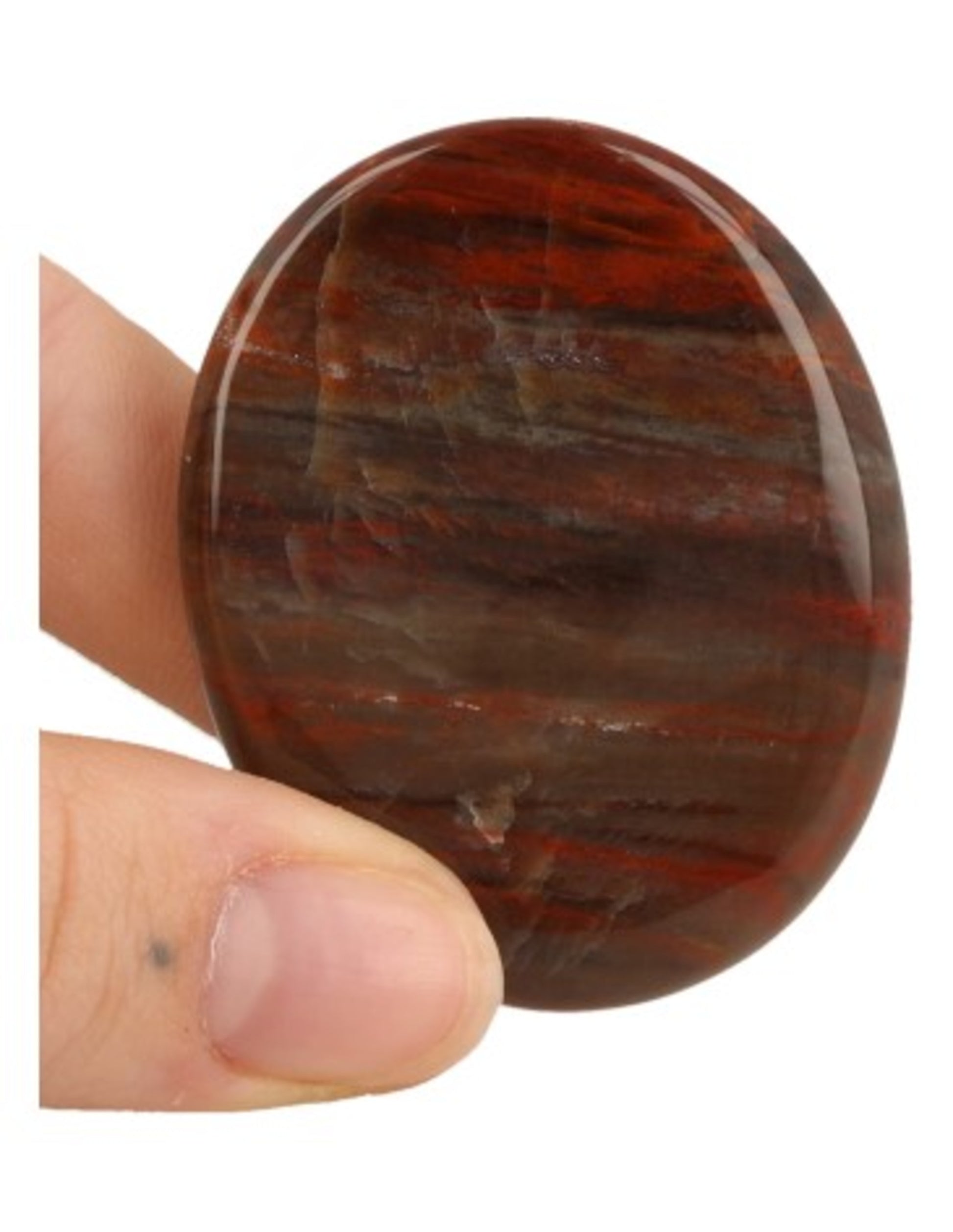 Image for versteend-hout-zaksteen-madagaskar_1.jpg