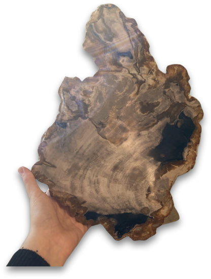 Image for versteend-houten-schijf-op-standaard-nr03_3.jpg