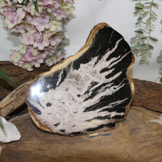 Image for versteend-houten-schijf-skelet-nr51-pst_3.jpg