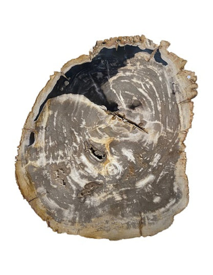Image for versteend-houten-tafelblad-nr1.jpg